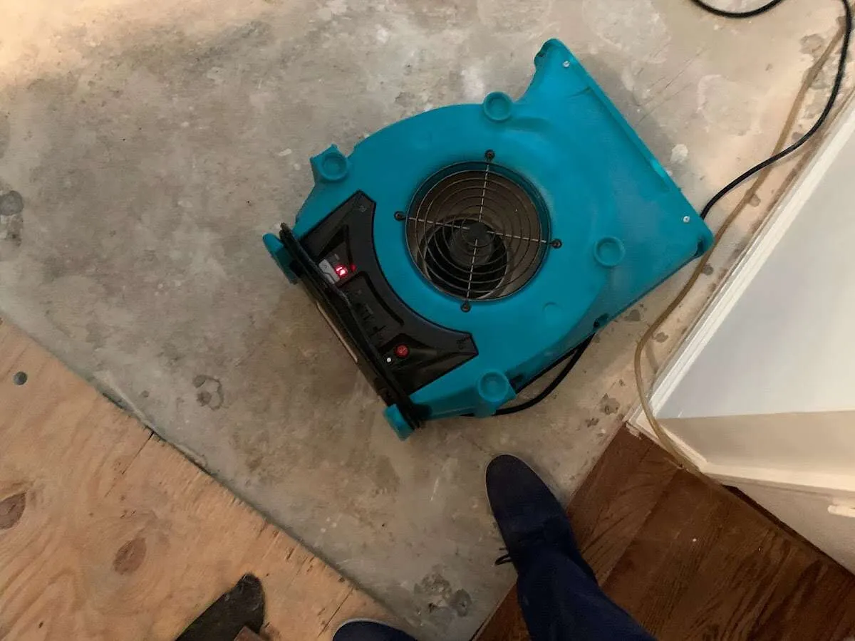 Air mover drying subfloor during Leak Detection & Repair in Sammamish